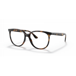 Ray Ban Ray Ban 0RX4378V 2012 HAVANA 52-16