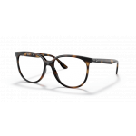 Ray Ban 0RX4378V 2012 54-16