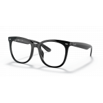Ray Ban Ray Ban 0RX4379VD 2000 BLACK 53-19