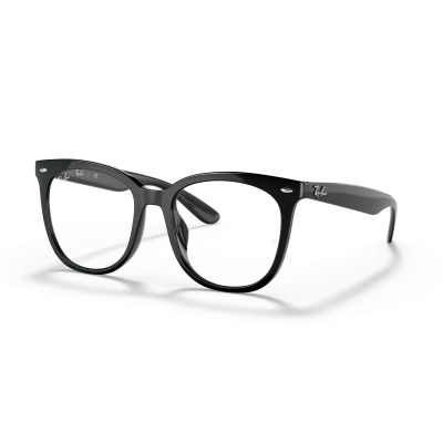 Ray Ban Ray Ban 0RX4379VD 2000 BLACK 53-19