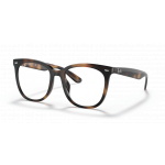 Ray Ban 0RX4379VD 2012 53-19
