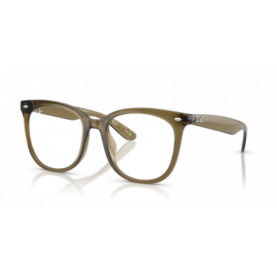 Ray Ban 0RX4379VD 8445 53-19
