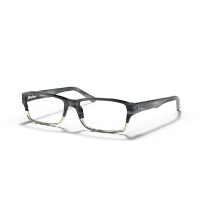 Ray Ban Ray Ban 0RX5169 5540 GREY HORN GRADIENT GREY 54-16
