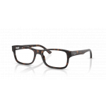 Ray Ban 0RX5268 2012 55-18