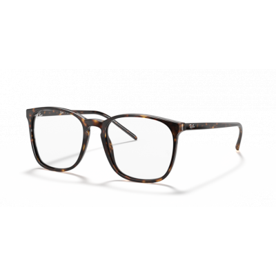 Ray Ban 0RX5387 2012 54-18
