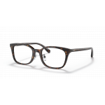 Ray Ban Ray Ban 0RX5407D 2012 HAVANA 52-19