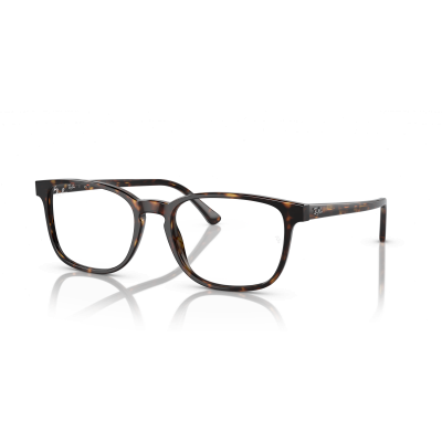 Ray Ban Ray Ban 0RX5418 2012 HAVANA 54-19