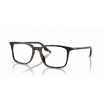 Ray Ban 0RX5421 2012 55-19