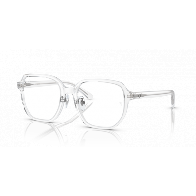 Ray Ban 0RX5424D 2001 54-19