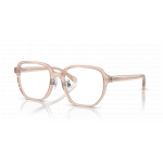 Ray Ban 0RX5424D 8267 54-19