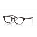 Ray Ban Ray Ban 0RX5427D 8290 TRANSPARENT BROWN 53-18