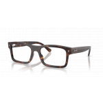 Ray Ban 0RX5435 2012 56-19