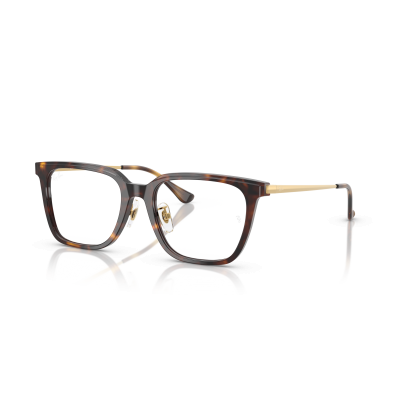 Ray Ban Ray Ban 0RX5442D 2012 HAVANA 52-18