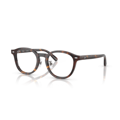 Ray Ban Ray Ban 0RX5443D 2012 HAVANA 49-20
