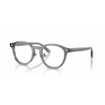 Ray Ban Ray Ban 0RX5443D 8268 TRASNPARENT GREY 49-20