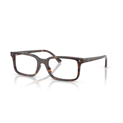 Ray Ban Ray Ban 0RX5445 2012 HAVANA 54-19