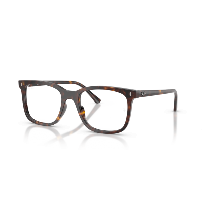 Ray Ban Ray Ban 0RX5446 2012 HAVANA 53-19