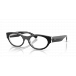 Ray Ban Ray Ban 0RX5447 2034 BLACK ON TRANSPARENT 53-19