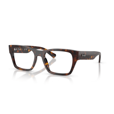 Ray Ban Ray Ban 0RX5448 2012 HAVANA 55-19