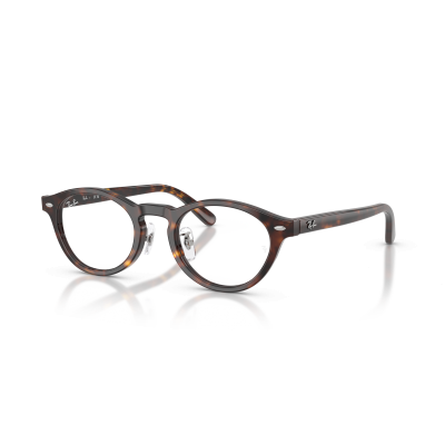 Ray Ban Ray Ban 0RX5457D 2012 HAVANA 48-21