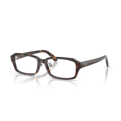 Ray Ban Ray Ban 0RX5458D 2012 HAVANA 54-17