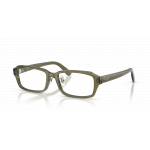 Ray Ban Ray Ban 0RX5458D 8501 TRANSPARENT GREEN 54-17