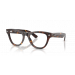 Ray Ban 0RX5510 2012 52-20