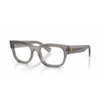 Ray Ban Ray Ban 0RX5528M F704 TRANSPARENT GREY 51-19