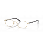Ray Ban Ray Ban 0RX6551D 2993 PALE GOLD 53-18