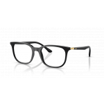 Ray Ban 0RX7211 2000 52-19