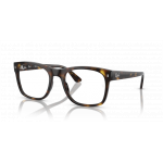 Ray Ban 0RX7228 2012 55-21