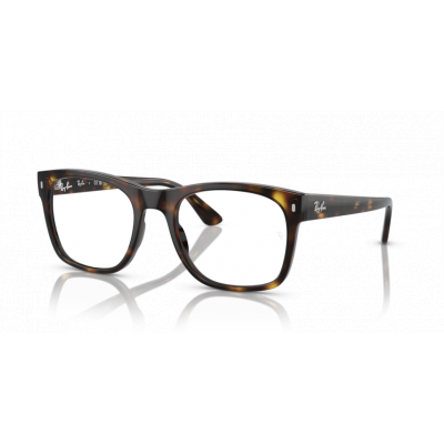 Ray Ban 0RX7228 2012 55-21