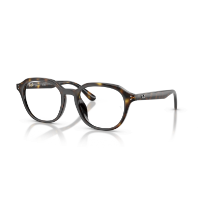 Ray Ban Ray Ban 0RX7259D 2012 HAVANA 52-19