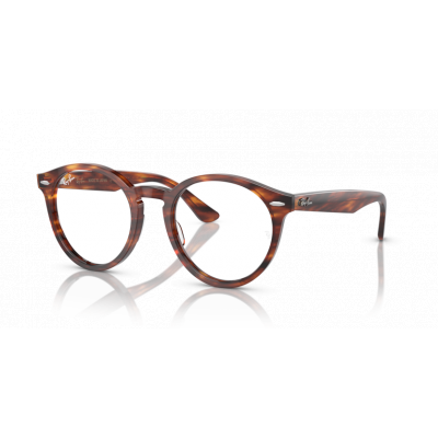 Ray Ban 0RX7680V – Larry 2144 51-21