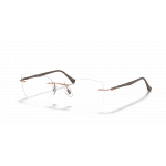 Ray Ban Ray Ban 0RX8725 1131 LIGHT BROWN 52-17