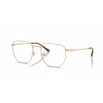 Ray Ban Ray Ban 0RX8776D 1251 PALEGOLD 53-19