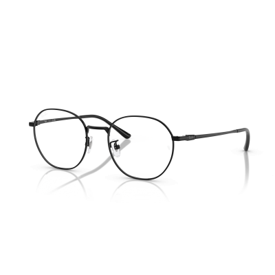 Ray Ban Ray Ban 0RX8778D 1244 BLACK 52-19