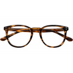 ROBIN - Fertiglesehilfe Kunststoffbrille in havanna-schwarz mit flexibler Federtechnik und klaren Lesegläsern +1