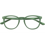 ROBIN - Fertiglesehilfe Kunststoffbrille in havanna-schwarz mit flexibler Federtechnik und klaren Lesegläsern +1