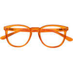 ROBIN - Fertiglesehilfe Kunststoffbrille in havanna-schwarz mit flexibler Federtechnik und klaren Lesegläsern +1