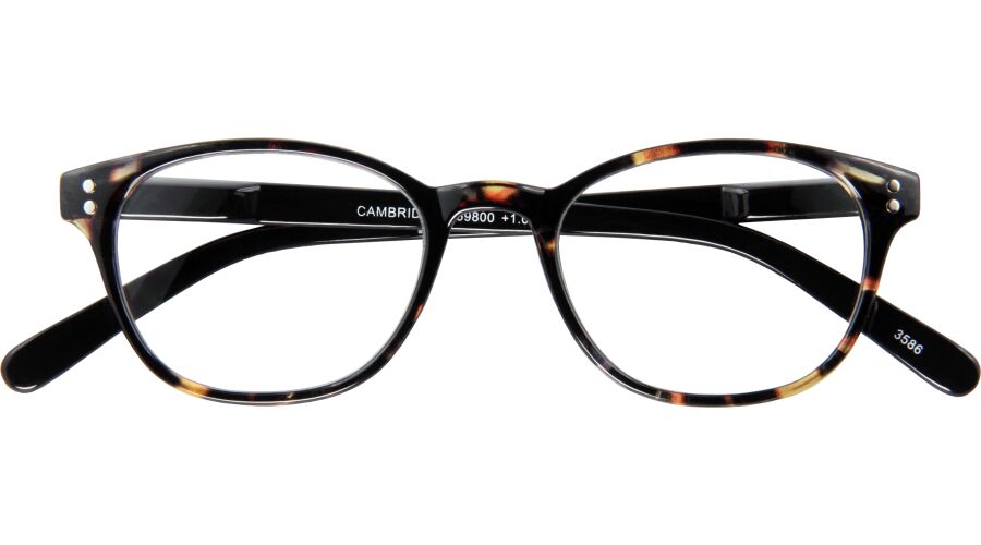 500 CAMBRIDGE G59800 Fertiglesebrille in havanna-schwarz mit Kunststoffrahmen und praktischem Etui