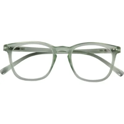 Kristallklare Lesebrille FROZEN G7000 mit Federtechnik und +1