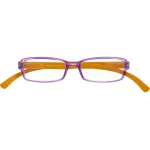 Braun-türkisfarbene Kunststoff-Lesebrille HANG OVER G45600 mit Federtechnik und +1