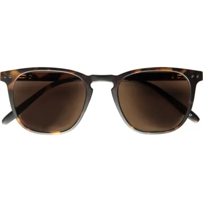 PLAYA Kunststoff-Fertiglesebrille in anthrazit-grau mit Sonnenbrillengläsern