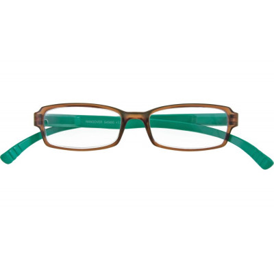 Braun-türkisfarbene Kunststoff-Lesebrille HANG OVER G45600 mit Federtechnik und +1