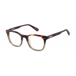 SUPERDRY EYEWEAR SUPERDRY 993101