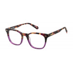 SUPERDRY EYEWEAR SUPERDRY 993101