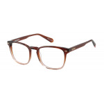 SUPERDRY EYEWEAR SUPERDRY 993102