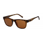 SUPERDRY EYEWEAR SUPERDRY 996103