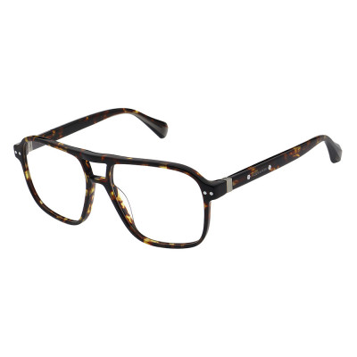 All Saints ALS1031 Herrenbrille in Braun mit Pilot Form